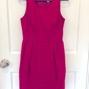 J. Crew Factory Dress